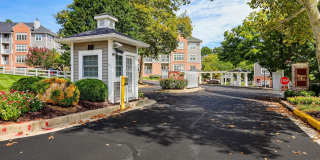 8710 GROFFS MILL Drive Gallery 1