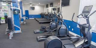 The Greyson Gallery 8