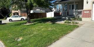 Freshly Painted, New Carpet Throughout - Home For Rent In Springville!!! Gallery 4