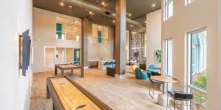 Linz of Viera Gallery 12