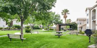 Lifestyles at Los Paseos Apartments Gallery 12