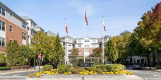 Sofi Lyndhurst Gallery 33