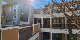 Beautiful Brisbane condo Gallery 31
