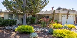 1416 Petal Way Gallery 1