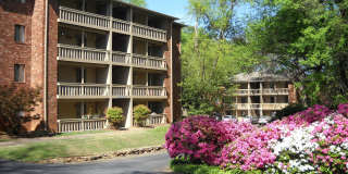 **FALL PRELEASING** Spacious 1/1 within walking distance to campus and downtown! Gallery 1