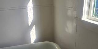 Pet friendly, downtown duplex Gallery 6