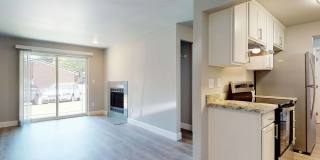 Larch Alderwood Gallery 7