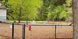 Pine Winds Gallery 10