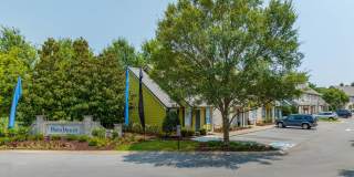 Dana Downs Gallery 41