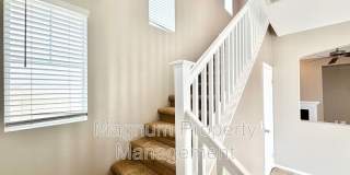 27705 Bluebell Ct Gallery 11