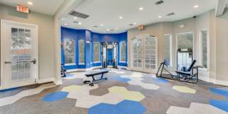 Saddle Creek and The Cove Saddle Creek and The Cove Gallery 25