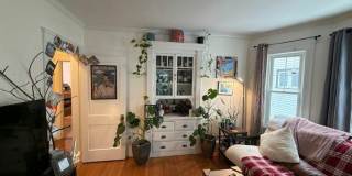 7 Lewis Street Gallery 17