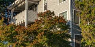 5307 LIVE CLOSE TO UNIVERSITY VILLAGE AND UW! Gallery 21