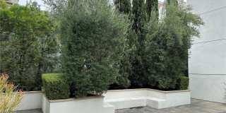 238 S Arroyo Parkway Gallery 25
