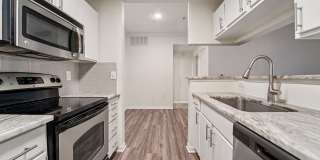 Derby at Steeplechase Gallery 33