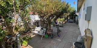 3243 Rosemead Place Gallery 16