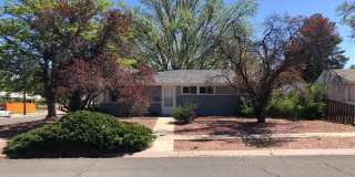 2537 Meadowlark Lane Gallery 1