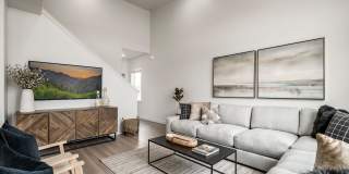 Fossil Cove Gallery 21