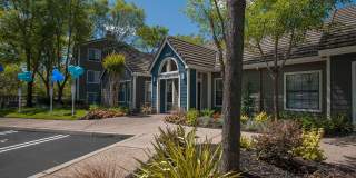 Slate Creek Gallery 14