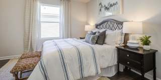 Jackey's Ridge Gallery 16