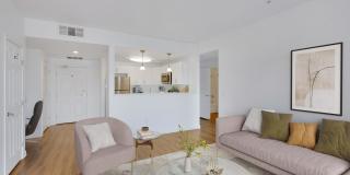 Trocadero Gallery 16