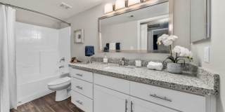 Palms on Scottsdale by Mark-Taylor Gallery 4