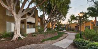 River Ranch Gallery 23