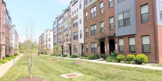 44615 WOLFHOUND Square Gallery 1