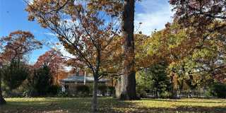 231-10 145 Avenue Gallery 20