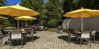 Radnor Crossing Gallery 11