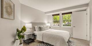 Stunning 1 Br 1 bath apartment in Bloomingdale Gallery 7