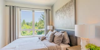 Edition Apartments Gallery 43