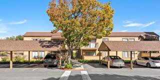 5319 Ridgeview Cir #10 Gallery 1