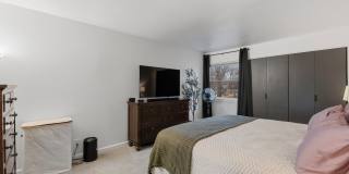 Honey Lane Gallery 12