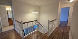 138 PERSIMMON STREET Gallery 24