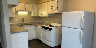 Brendan Wood Gallery 6