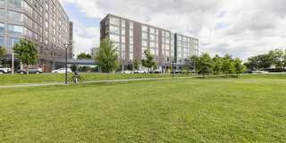 Continuum Gallery 20