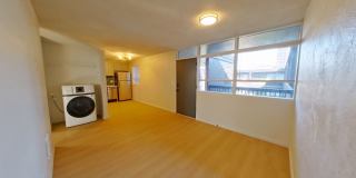 University Manor - Newly Renovated Units just a short walk from Campus! Gallery 78