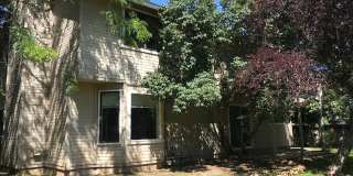 4271 Pennfield | Unique 2k Sq. Ft. Home on Corner Lot, Skylights, Vaulted Ceilings, Giant Backyard! Gallery 26