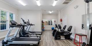 Ivy Hollow Gallery 8