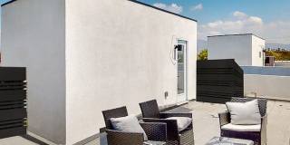 6344 Camellia Gallery 15