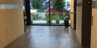 21 Orange Gallery 14