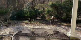 2601 COOL SPRING ROAD Gallery 20