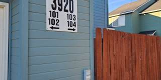 ELD3920 Gallery 1