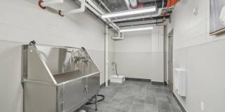 The Upland Gallery 23