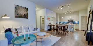 Agave Gallery 7