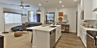 The Aviator Gallery 1