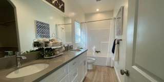 Brand new apt home in NE near city in the hills Gallery 14