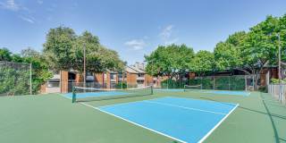 Indian Creek Gallery 37