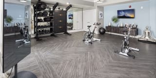 Celsius Apartment Homes Celsius Apartment Homes Gallery 17